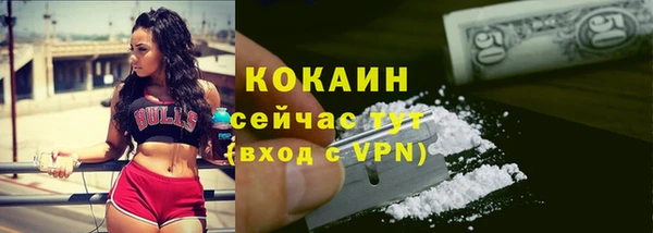 амф Пестово