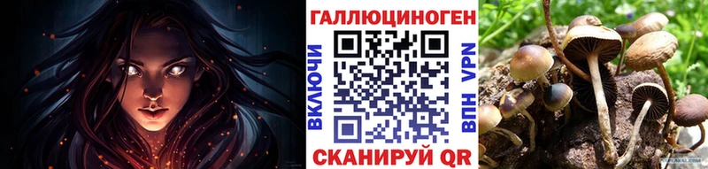 закладка Северо-Курильск Галлюциногенные грибы MAGIC MUSHROOMS